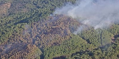 #Balıkesir #Burhaniye #Orman #Yangın