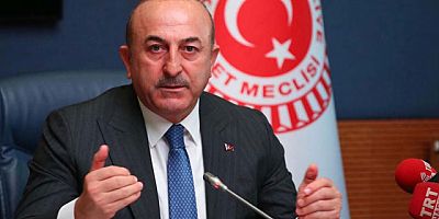 #mevlütçavuşoğlu #dışişleribakanı #receptayyiperdoğan #geertwilders