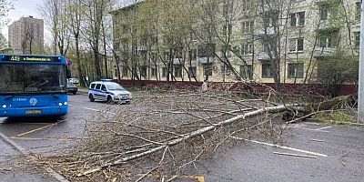 #Moskova #Şiddetli #Rüzgar #Ağaç #Devrildi #Yaralı