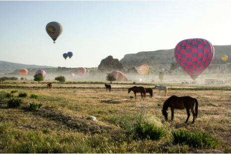 Kapadokya’da güzel atlar podyuma çıktı