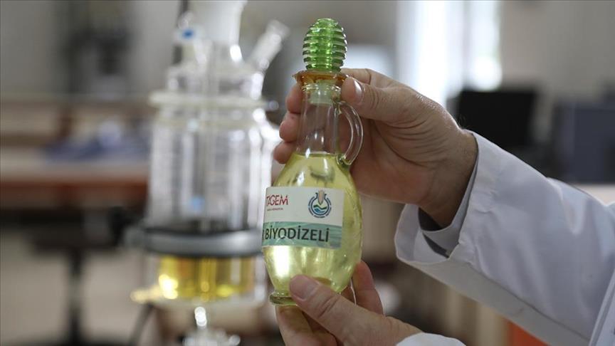 Kenevir Tohumundan Biyodizel Üretimi