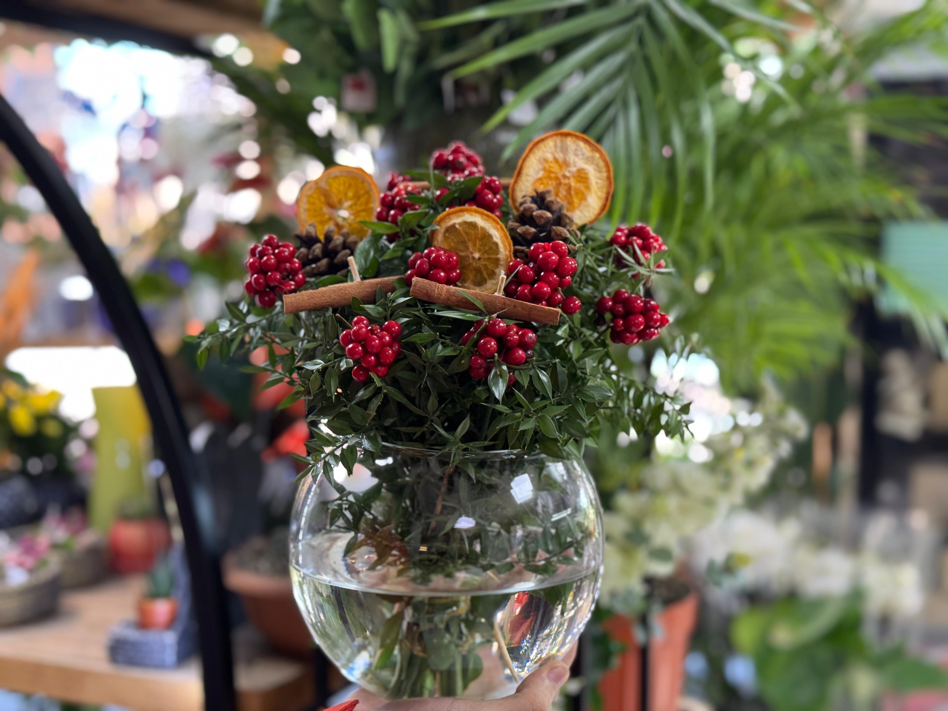 Yılbaşı Çiçeği Kokina Tezgahlarda