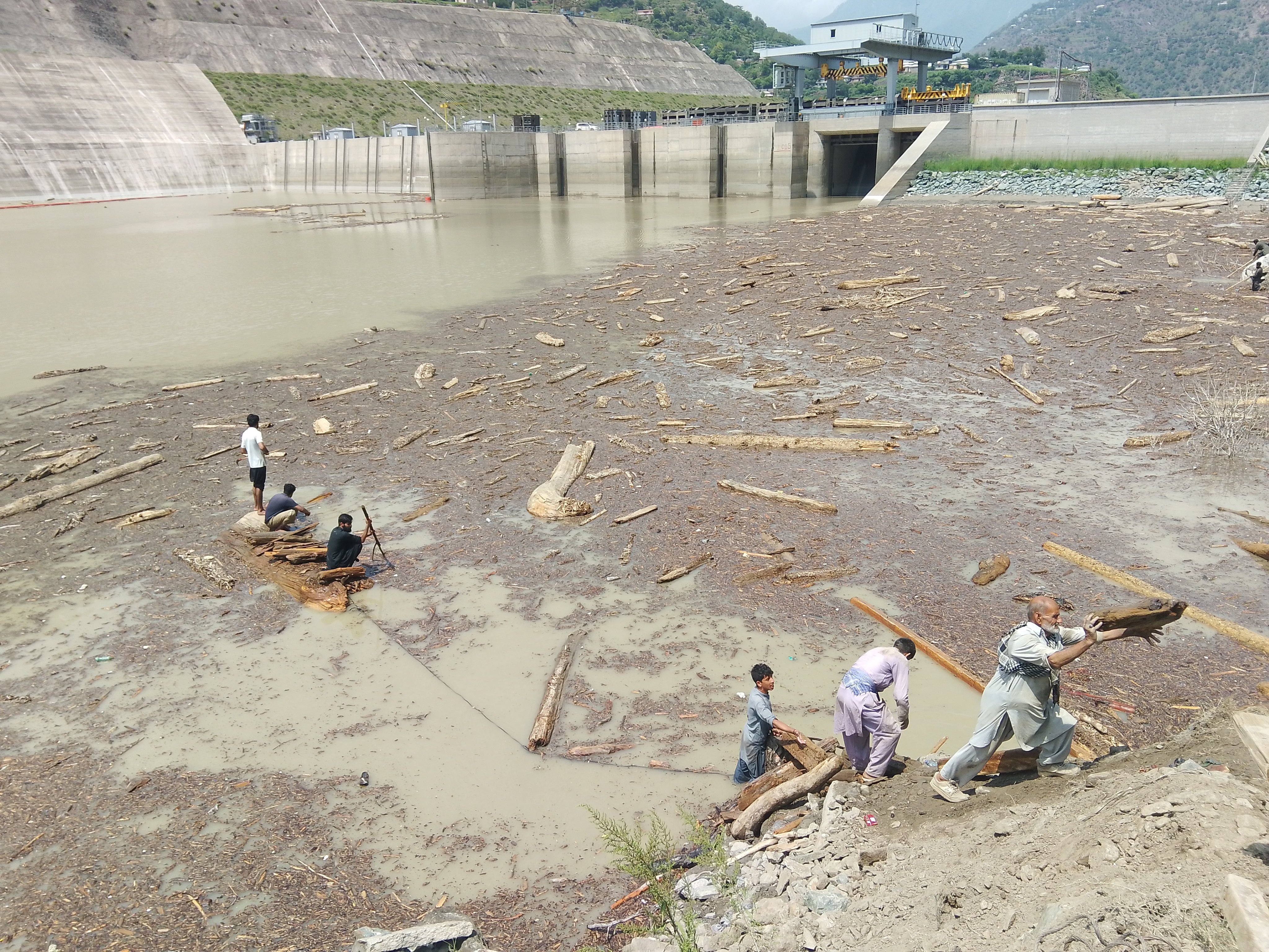 Pakistan'da son 48 saatte felaket: Can kayıpları 350'yi geçti!