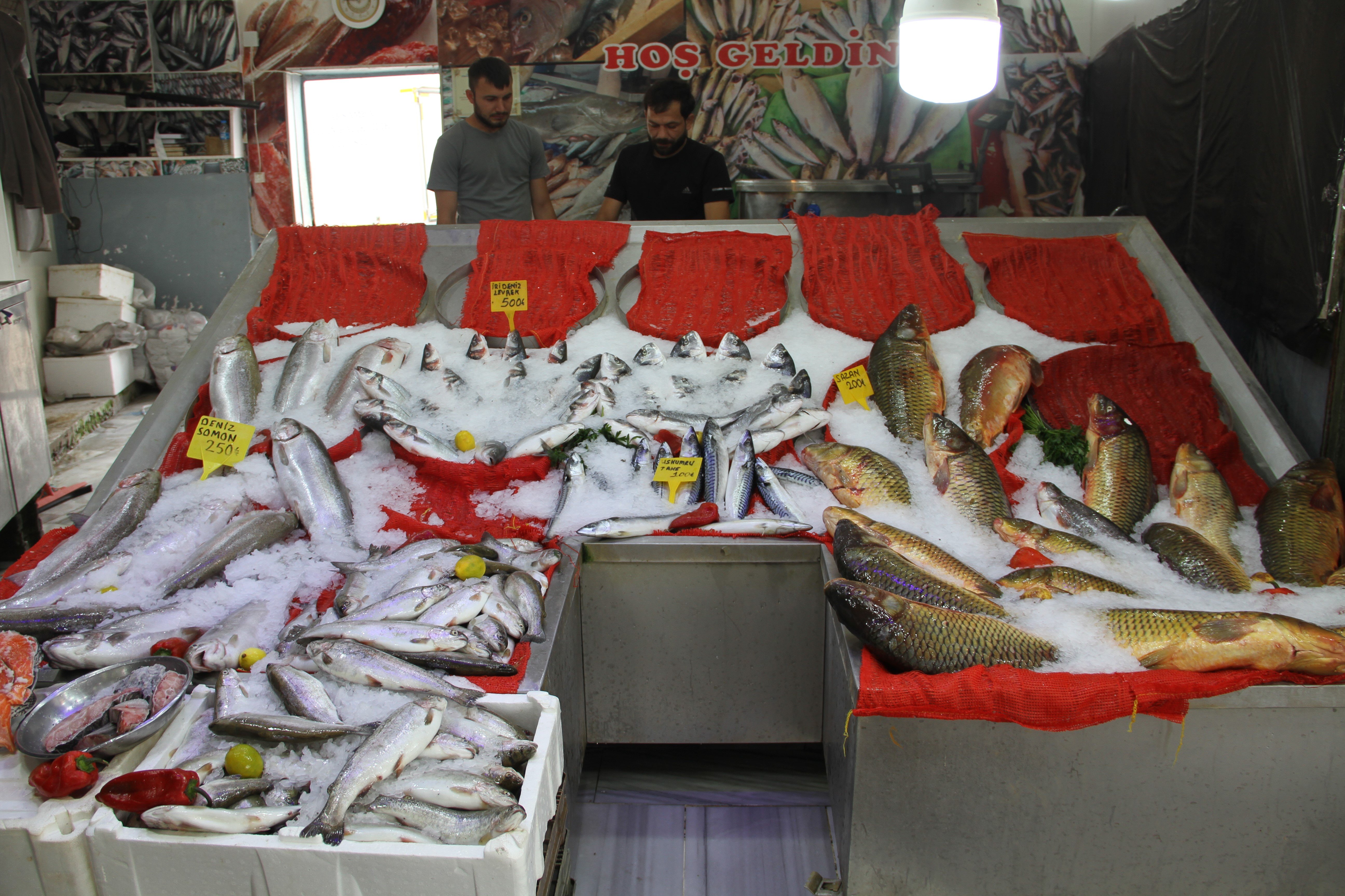 1 Eylül av yasağı sona eriyor: Esnafta ‘balık sezonu’ hazırlığı!