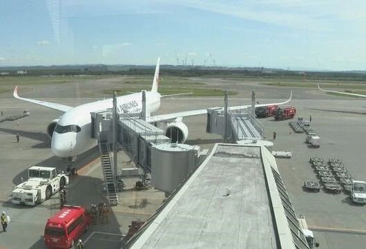 Japonya’da motoru arızalanan yolcu uçağı, tek motorla acil iniş yaptı