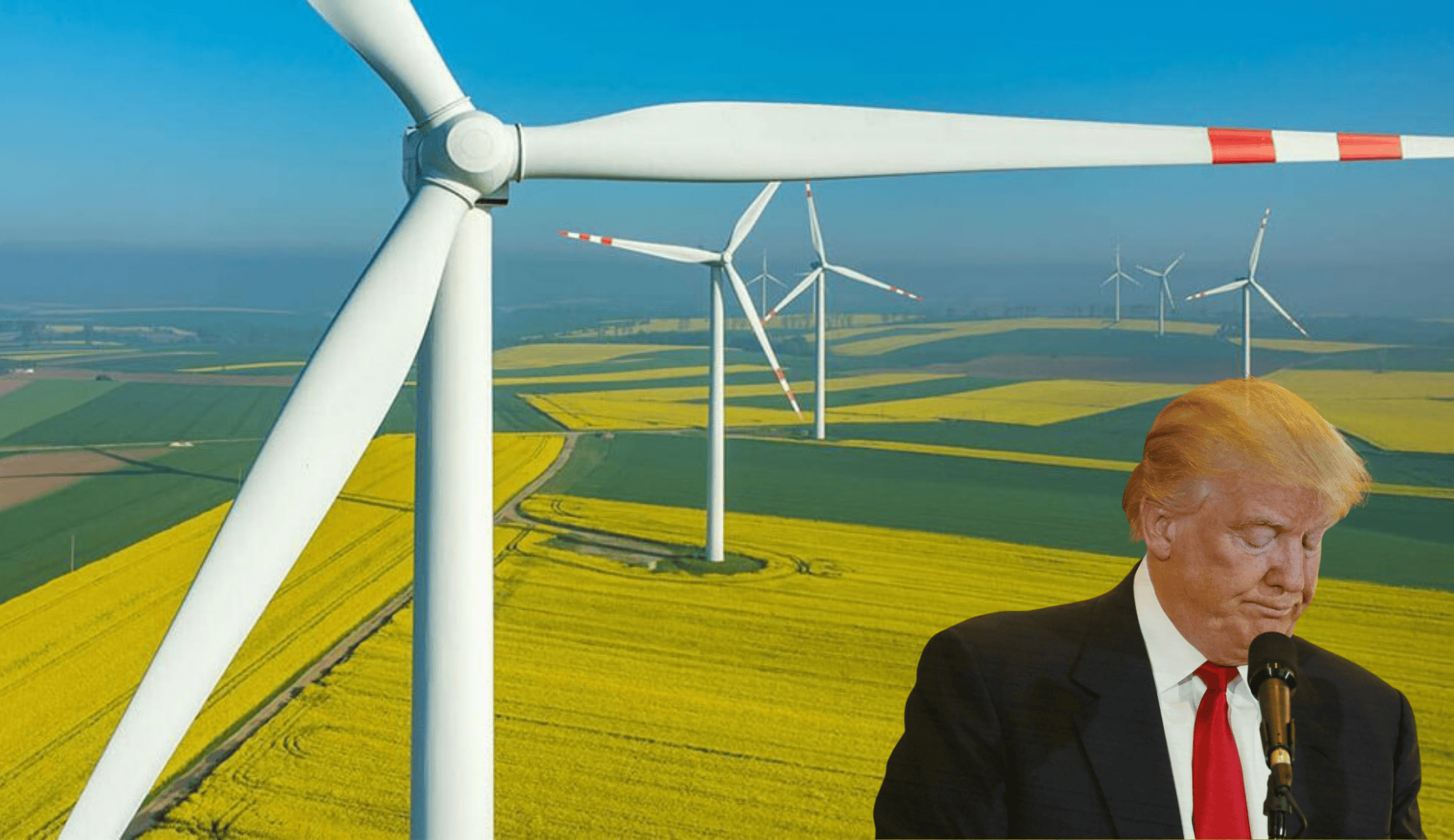 Trump yönetiminden rüzgar enerjisi projesine engel