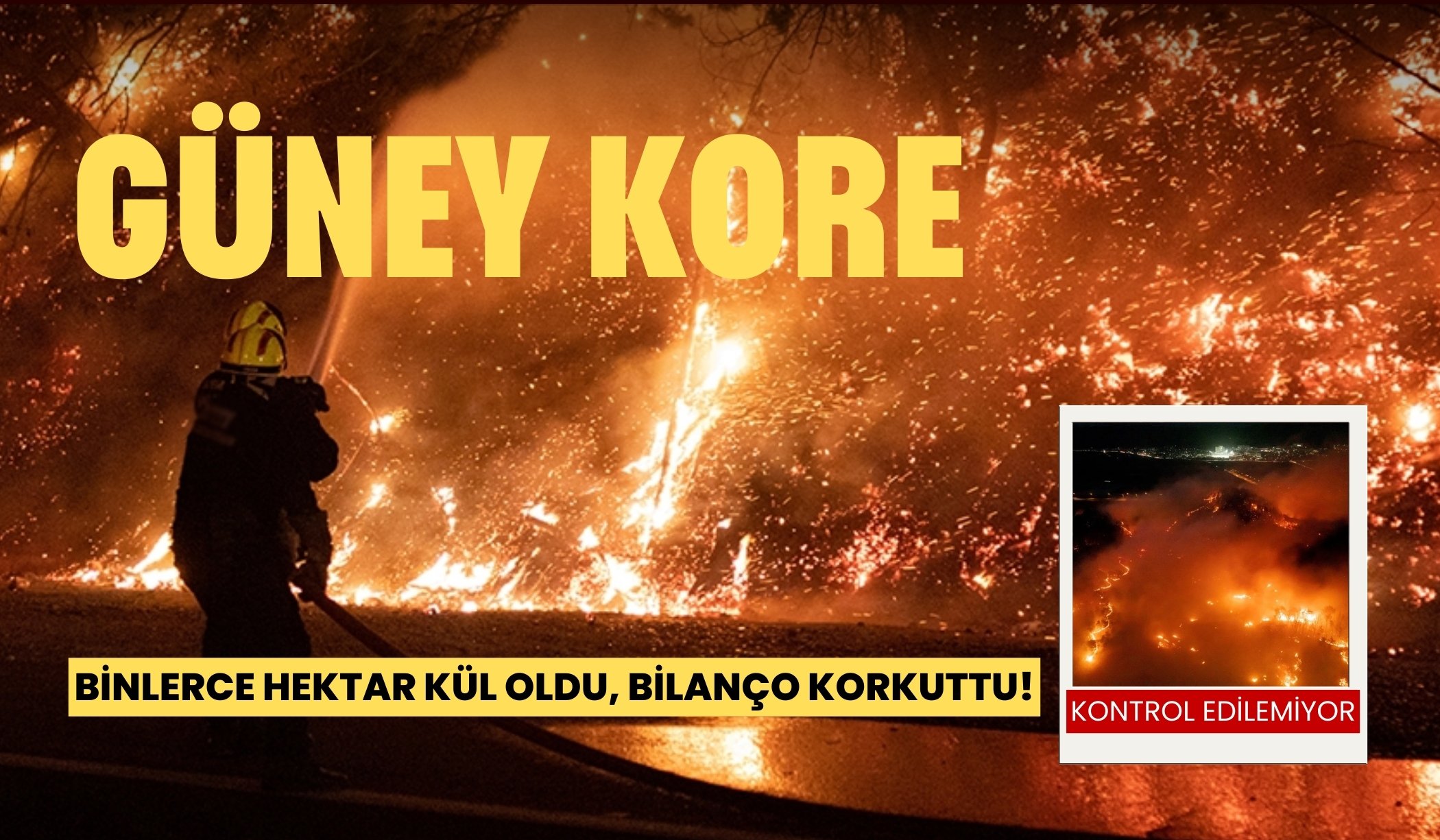 Orman yangınlarında korkutan bilanço: binlerce hektar kül oldu