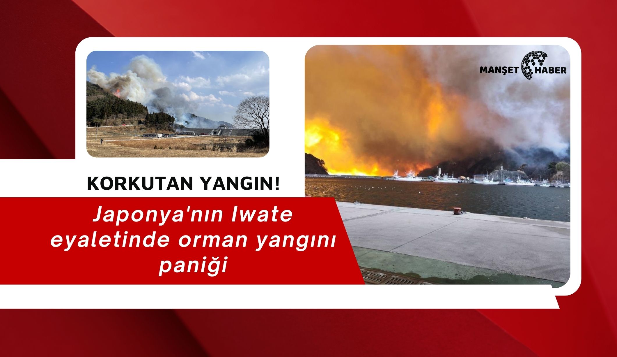 Japonya'nın Iwate eyaletinde orman yangını paniği