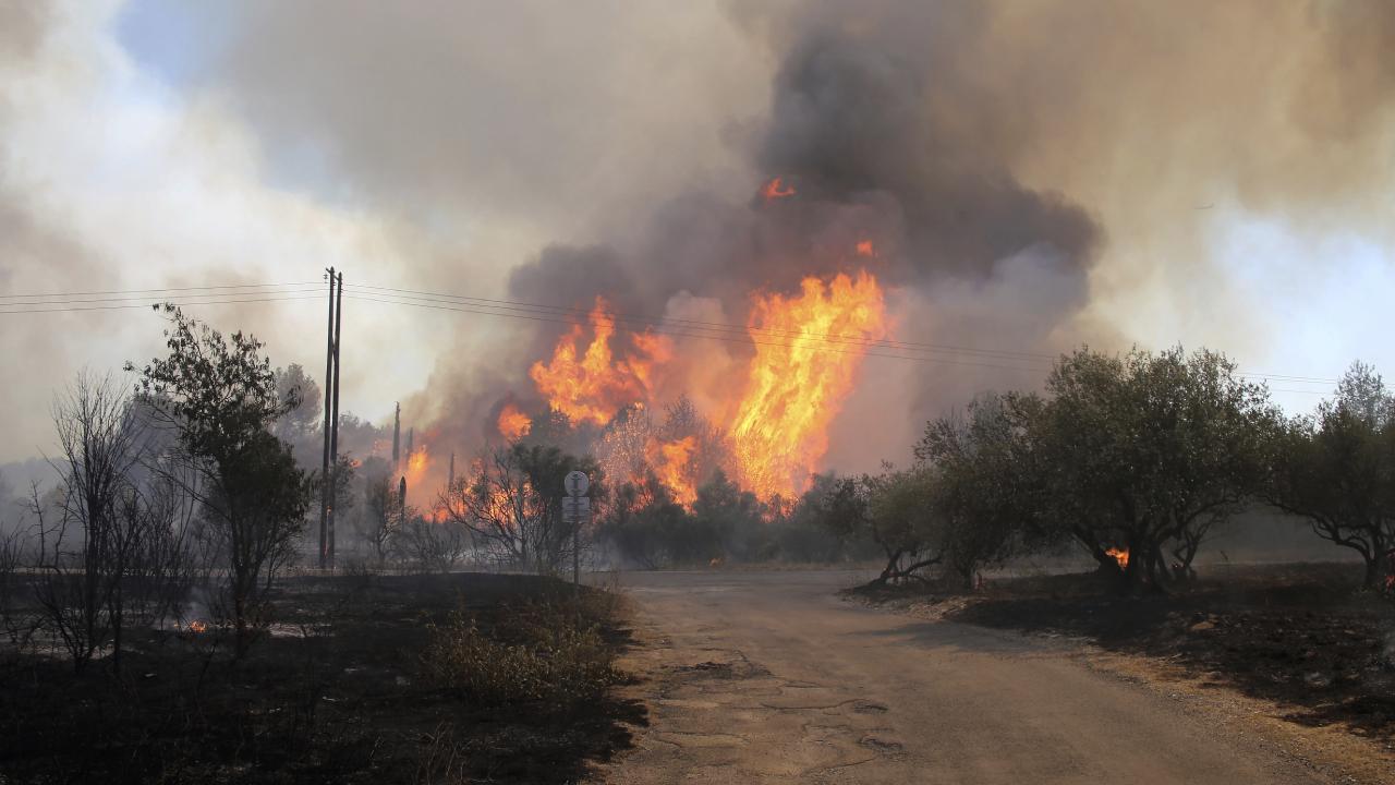 Marsilya yakınlarındaki yangın 700 hektarı küle çevirdi