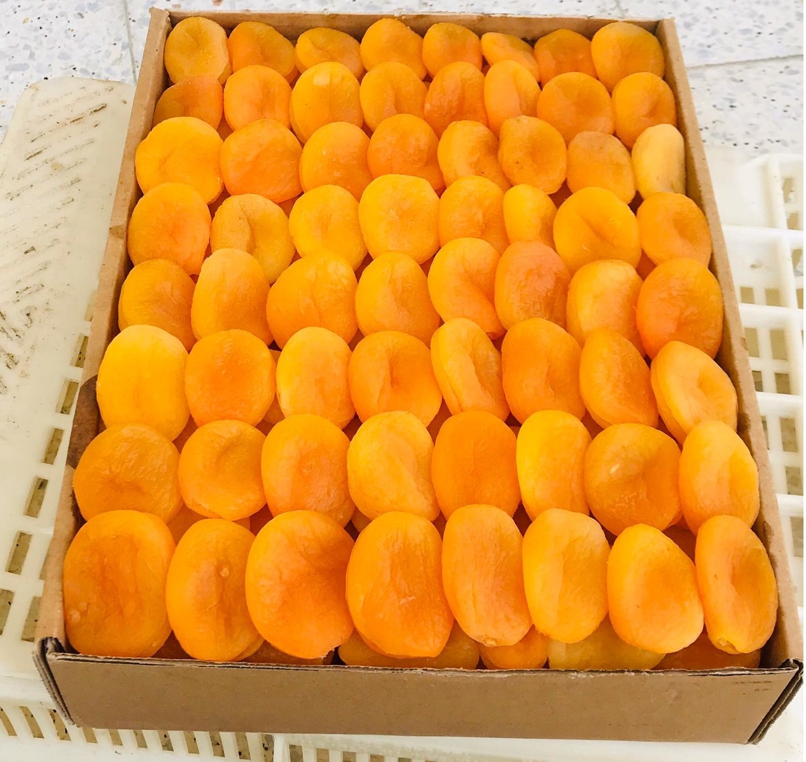 Malatya'dan 5 ayda 132 milyon dolarlık kuru kayısı ihracatı