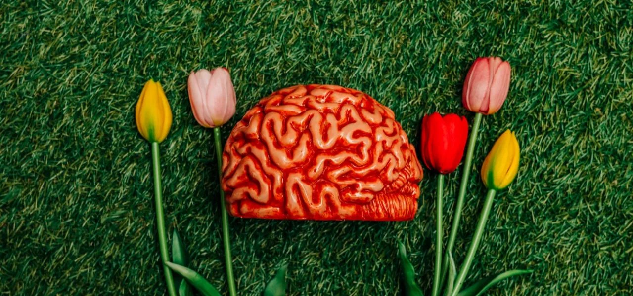 Yapay zeka iklimi kurtaracak mı ? İddiaların % 74 ü kanıtsız