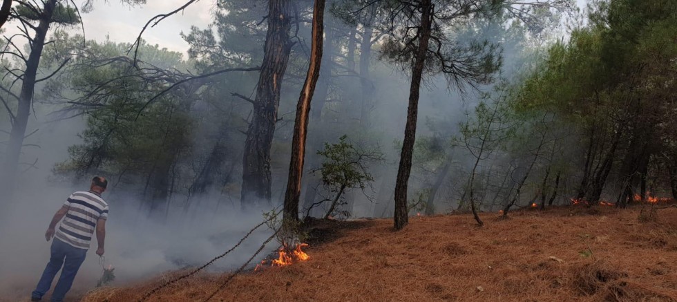 Kaz Dağı Milli Parkı'nda orman yangını