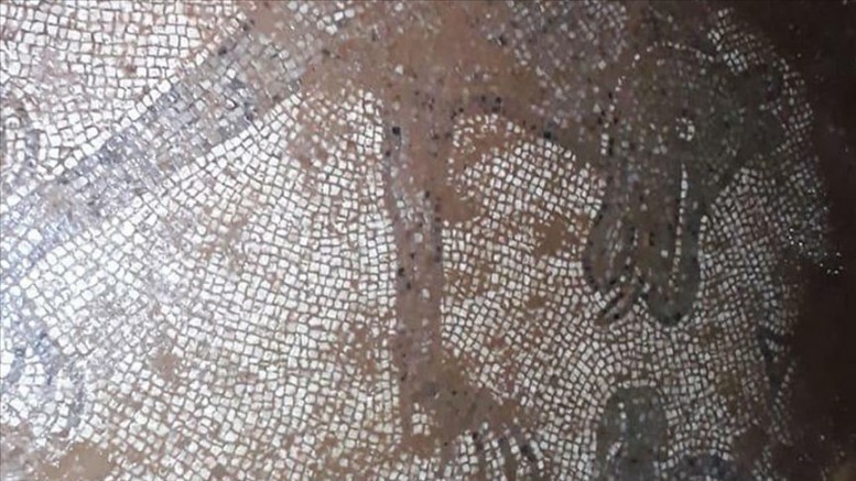 Urfa’da Roma mozaikleri