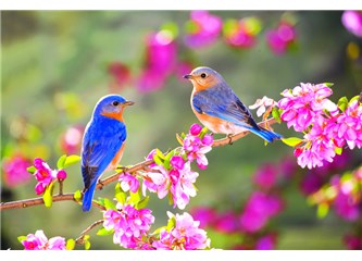 Baharın rotası: Türkiye'nin en iyi nisan durakları