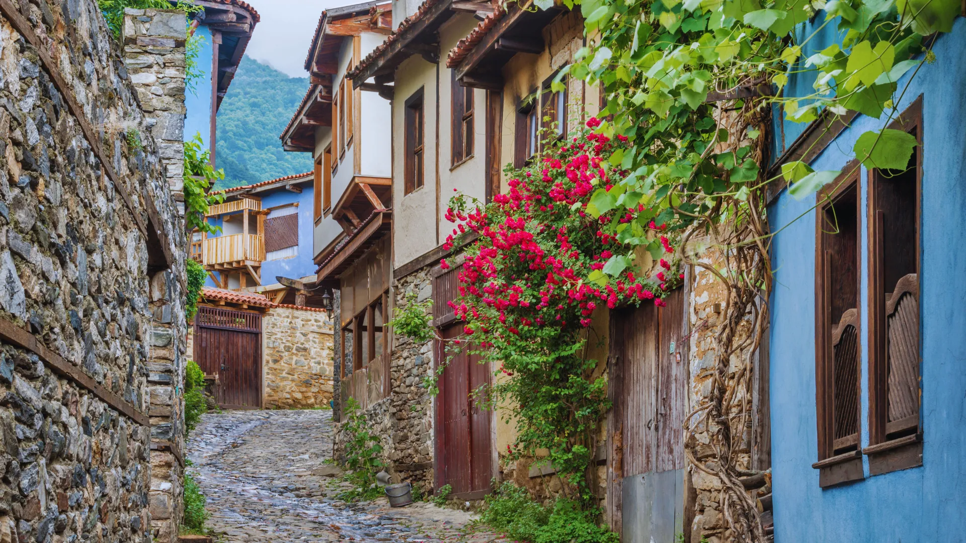 Bursa’nın saklı hazinesi: Cumalıkızık
