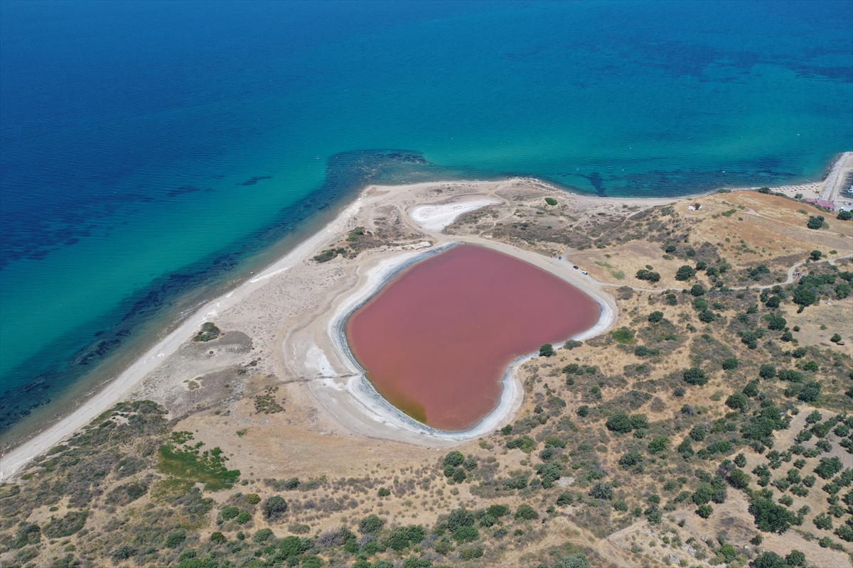 Doğa kalbini pembeye boyadı, görenler hayran kaldı