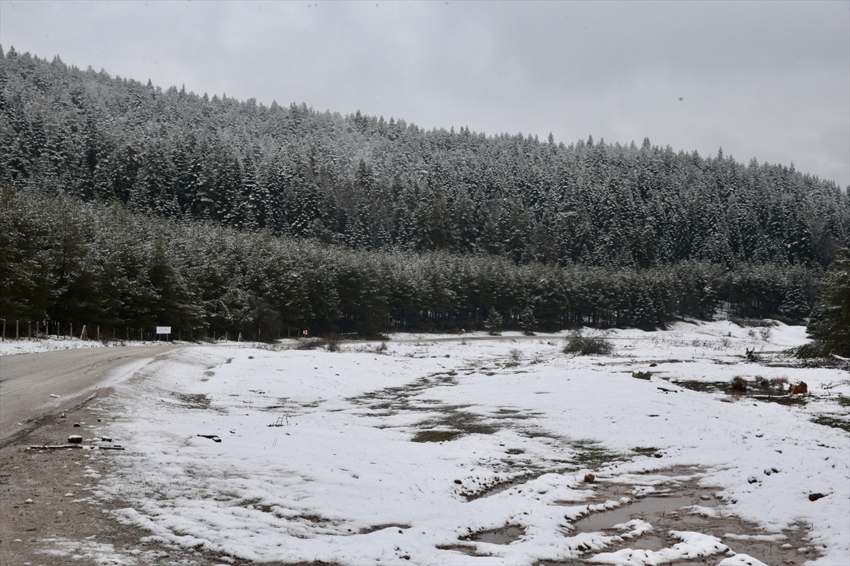 AA-20260408-41046573-41046570-BOLUNUN_YUKSEK_KESIMLERINE_ILKBAHARIN_ORTASINDA_KAR_YAGDI