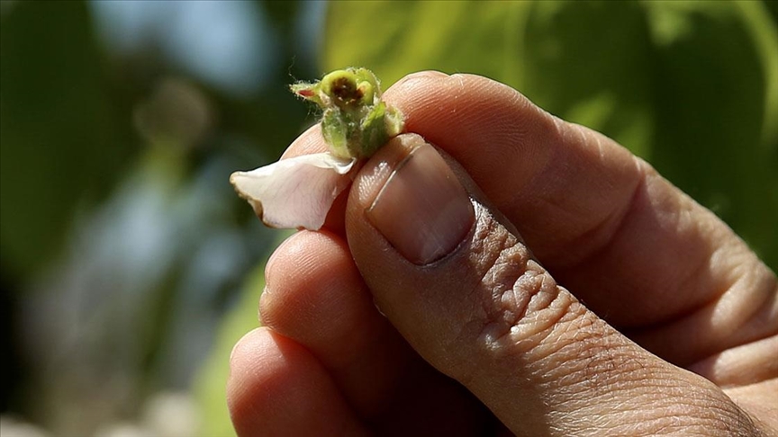 thumbs_b_c_9f1dd71dc5e65179ea742e251c57e40d