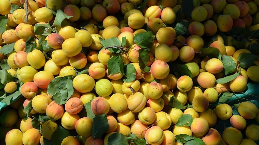 thumbs_b_c_f4953eb2462059de65eb794b7a7f1e3f