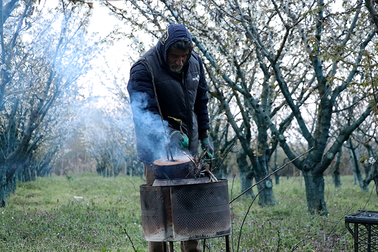 2025_13_20250409_2_68484195_111517281