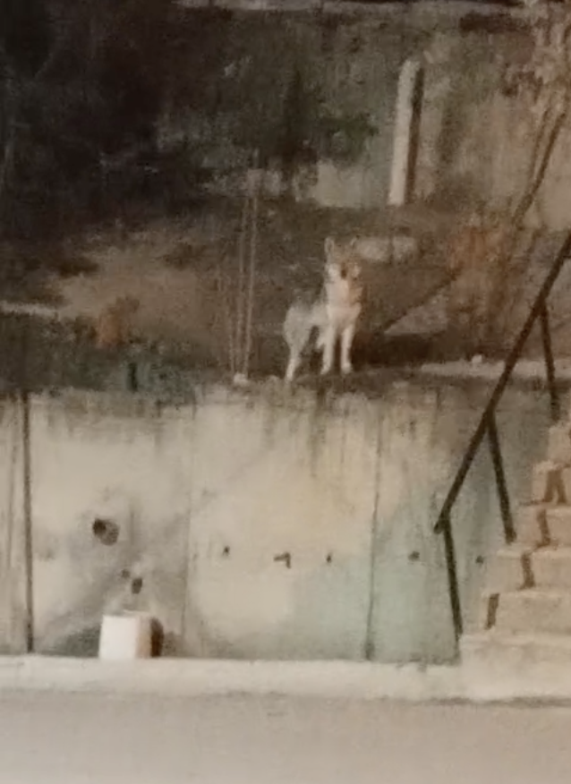 Ekran Resmi 2026-04-12 19.22.55