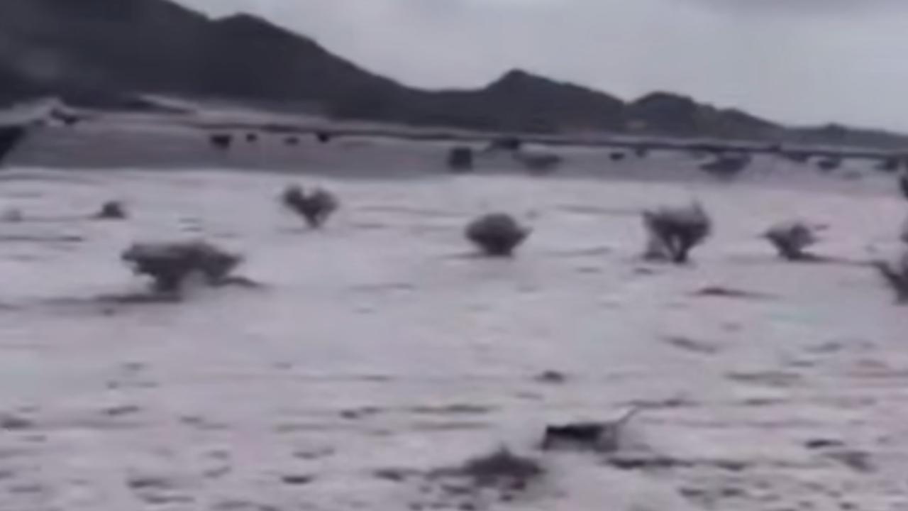 saudi-2453341 saudi-2453341