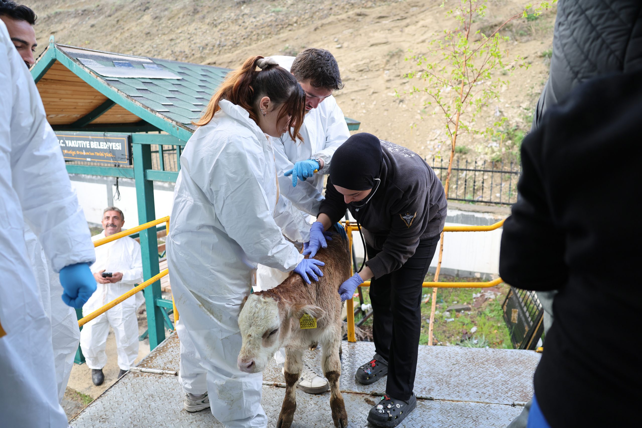 02 Yerli ve millî sensör teknolojisi hayvan sağlığında yeni dönem başlatıyor (2).jpg