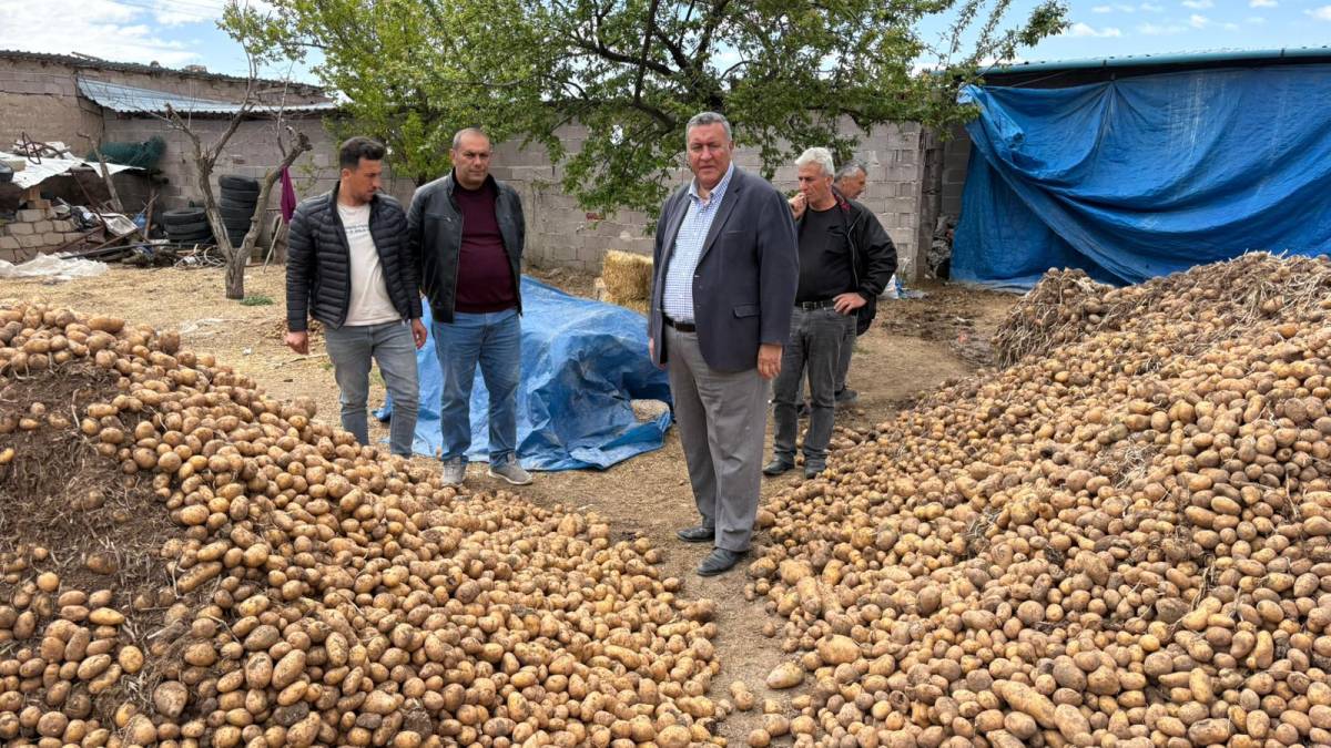 whatsapp-image-2026-05-18-at-08-20-37-1 whatsapp-image-2026-05-18-at-08-20-37-1