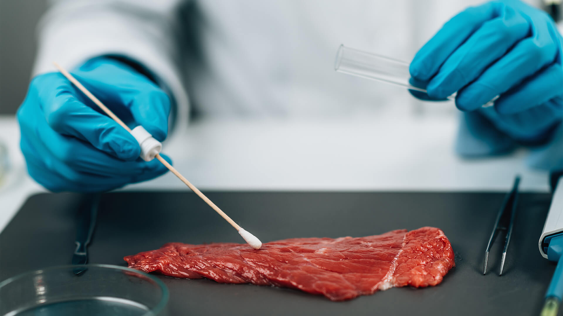 turizoom-gida-hijyen-ve-kalite-yonetimi-001 turizoom-gida-hijyen-ve-kalite-yonetimi-001