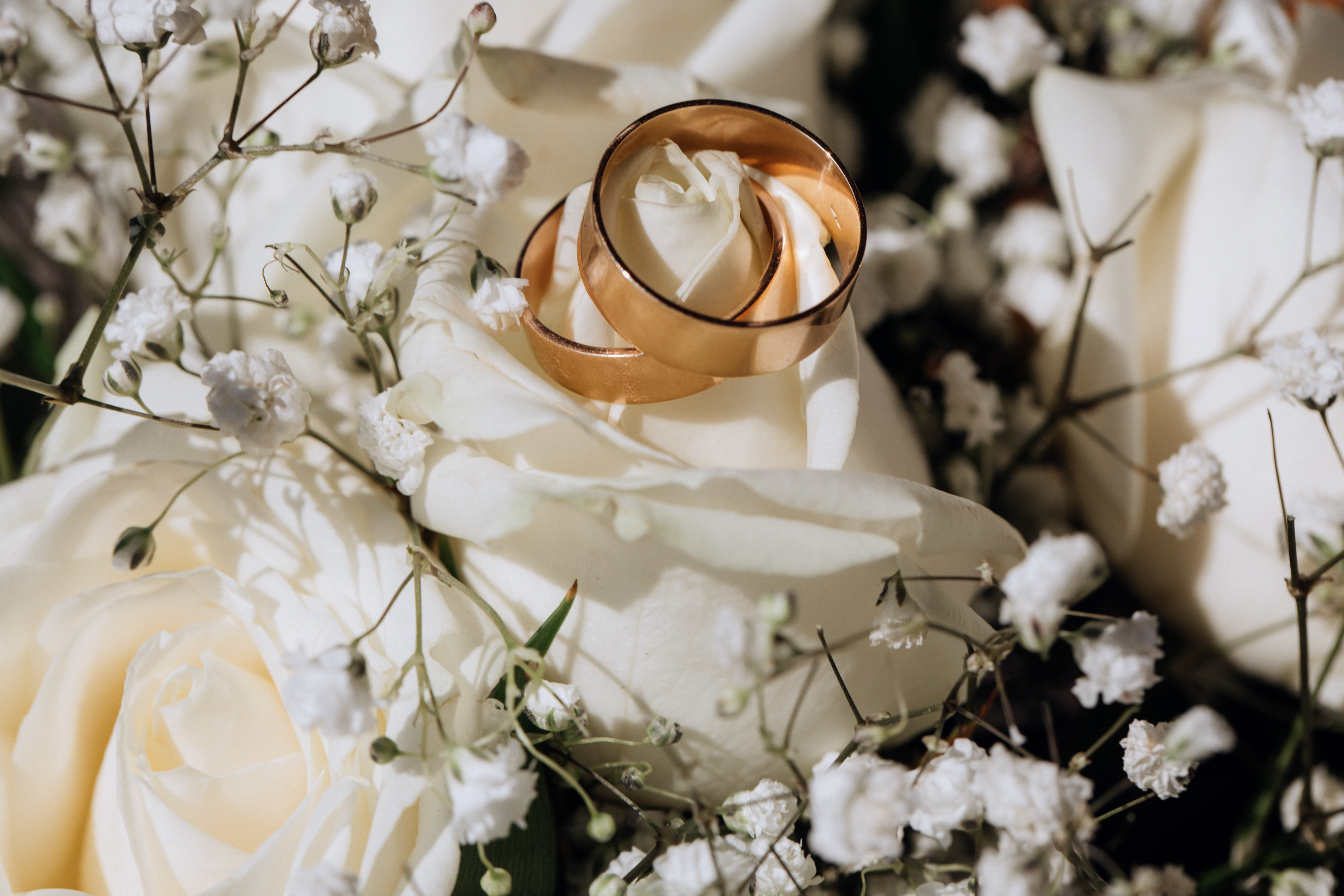 golden-wedding-rings-white-rose-from-wedding-bouquet golden-wedding-rings-white-rose-from-wedding-bouquet