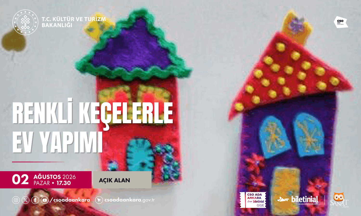 RENKLİ KEÇELERLE EV YAPIMI 1