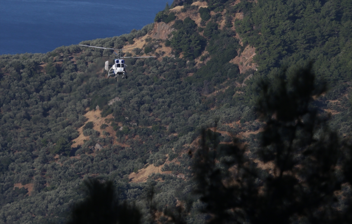 AA-20260730-42099646-42099643-CANAKKALE_AYVACIKTAKI_ORMAN_YANGININA_MUDAHALE_SURUYOR