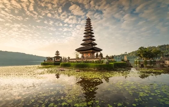 bali