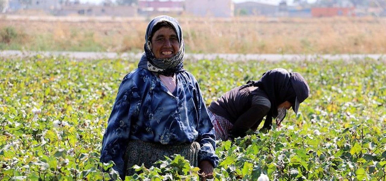 Kadınların ihracattaki payında zirve Giresun’un oldu