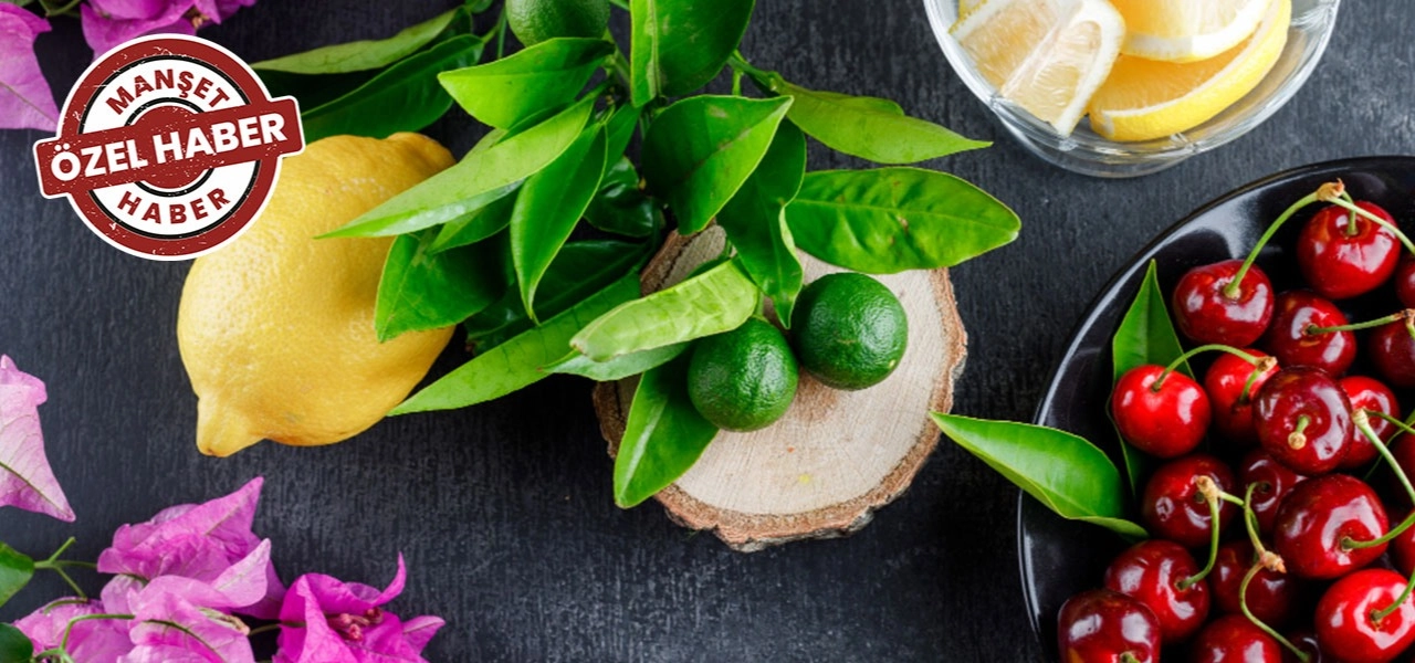 Mevsim geçişlerinde bağışıklığı korumak mümkün