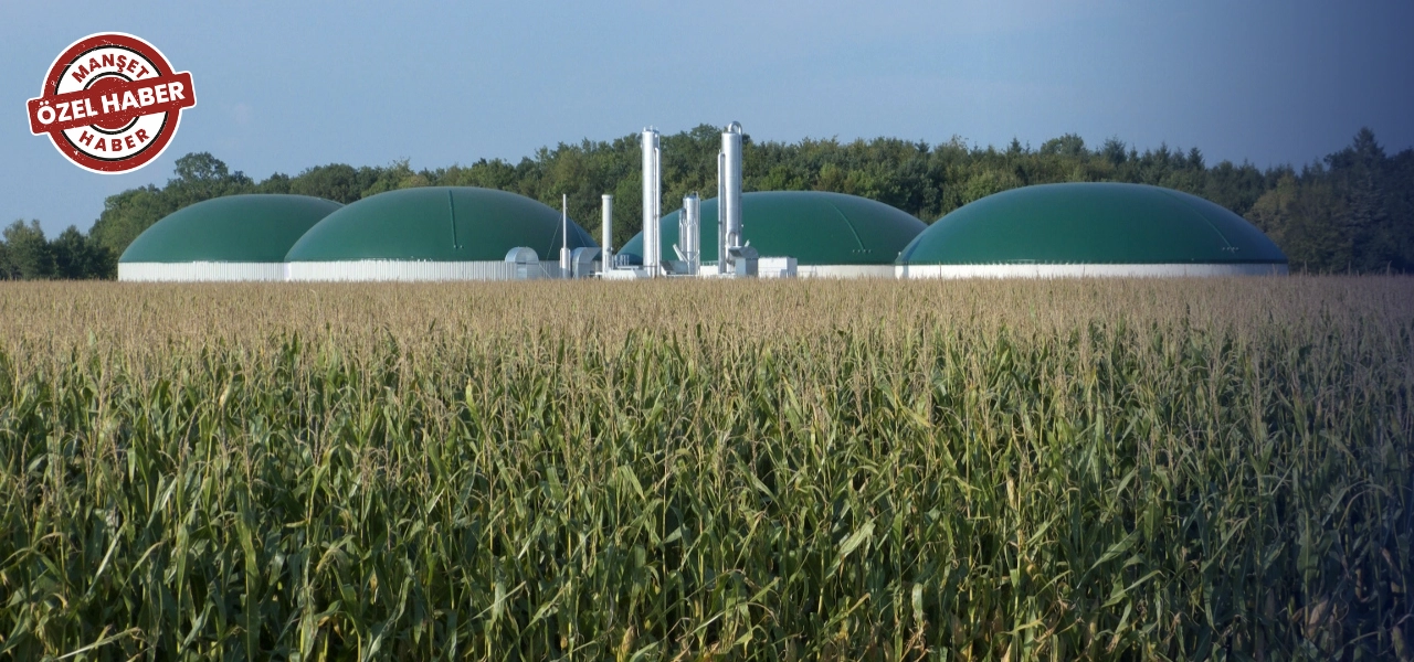 Biyogaz enerji santrallerinden elektrik yerine doğal gaz üretimi