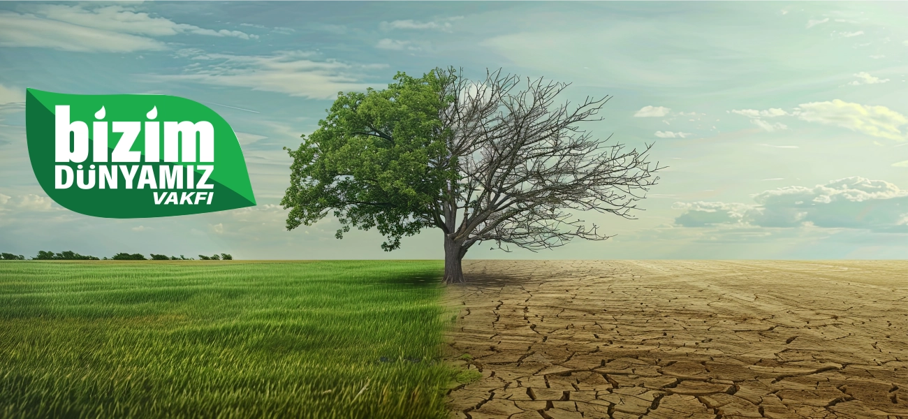 Çağın en anlamlı ödülleri 18 Aralık'ta İstanbul'da sahiplerini buluyor