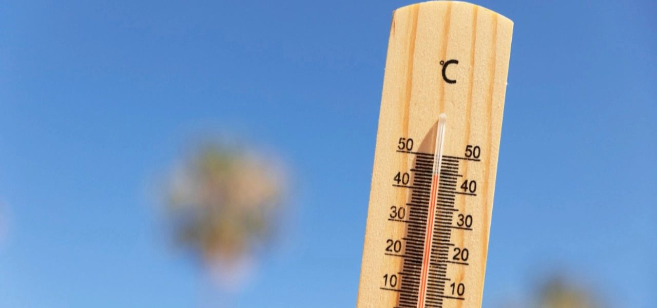 Küresel ısınma sağlığı vuruyor: Egzersiz azalıyor, risk artıyor