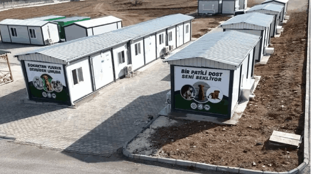 Isparta’da sahipsiz hayvanlar için rehabilitasyon merkezi