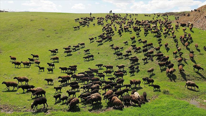 Kars’ta mera tartışması: Bakanlıktan net açıklama geldi