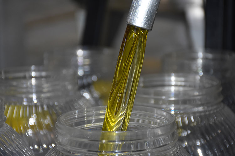 Zeytinde akıllı dönem: Üretim dijitalleşiyor