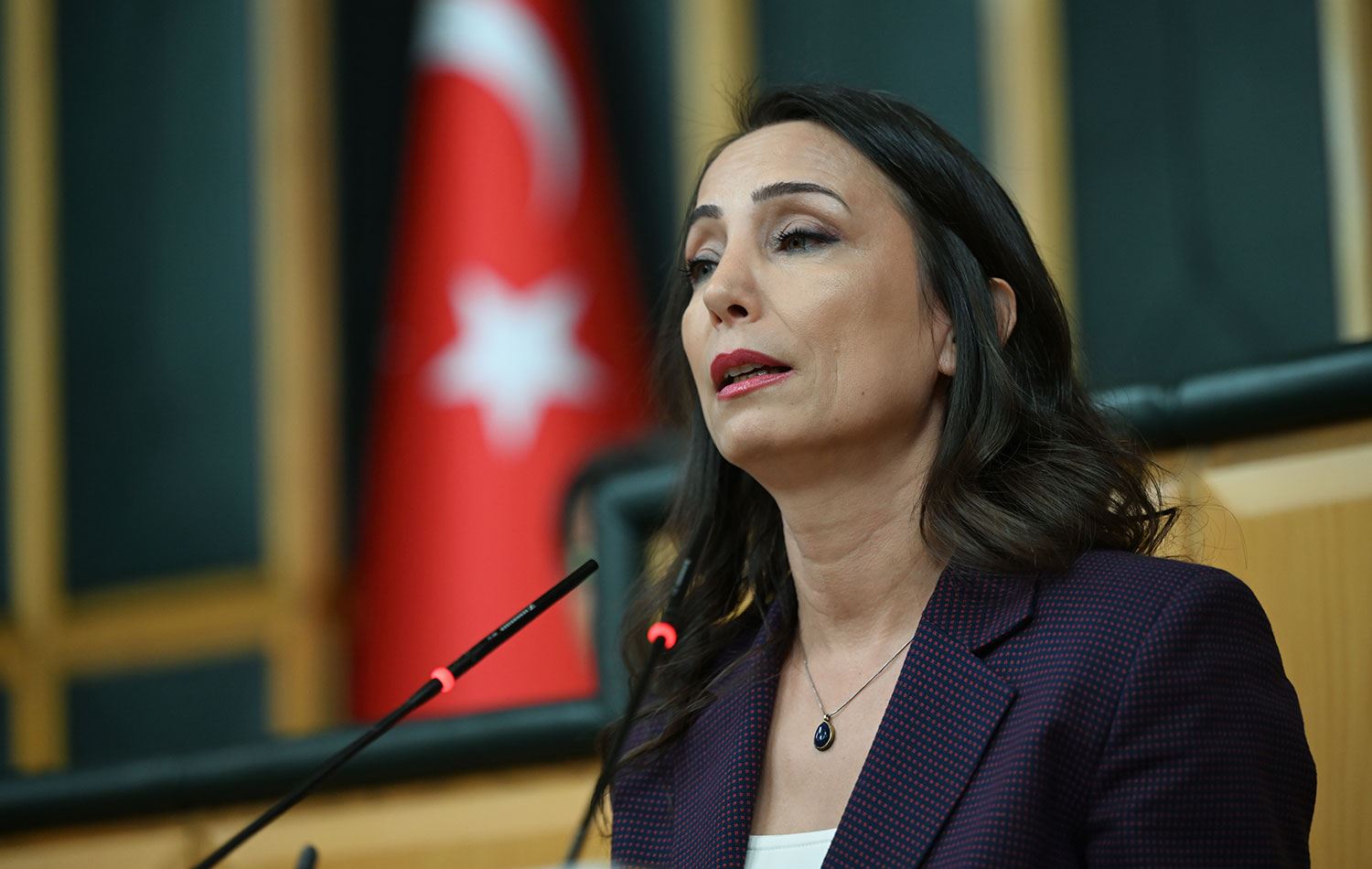 DEM Parti’den kalıcı barış için yasa talebi