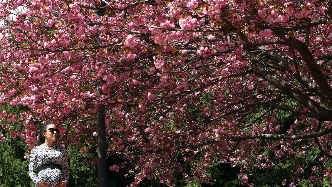 Yeni haftada bahar havası geliyor