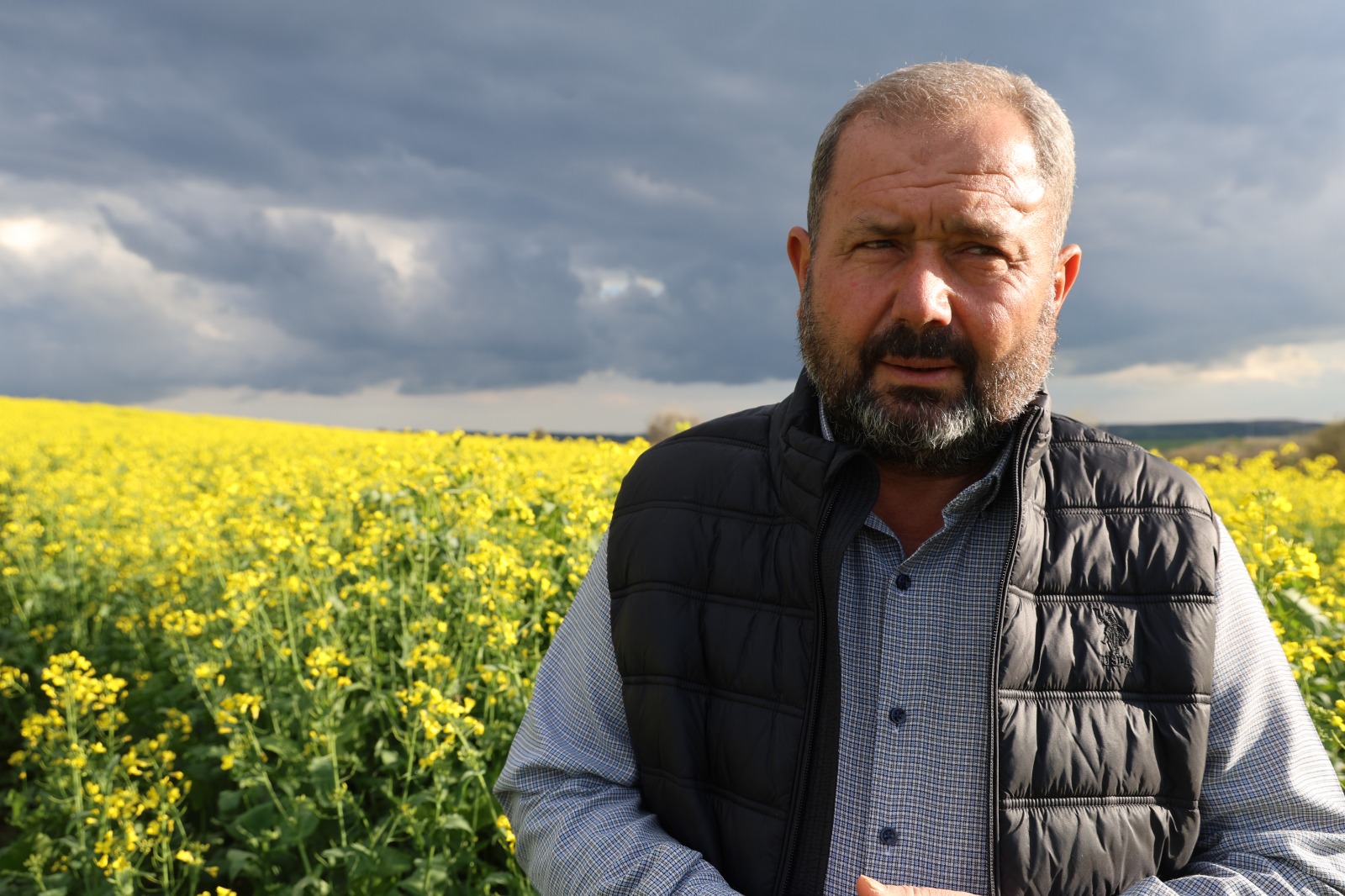 Devlet destekli kanola üretimi Adana’da çiftçinin yüzünü güldürdü