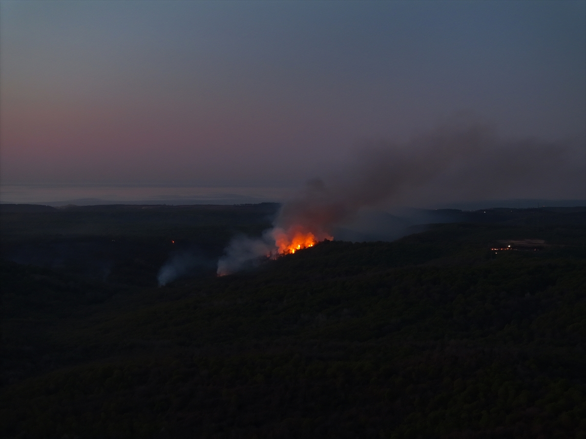 Beykoz ve Çatalca’daki orman yangınları kontrol altına alındı