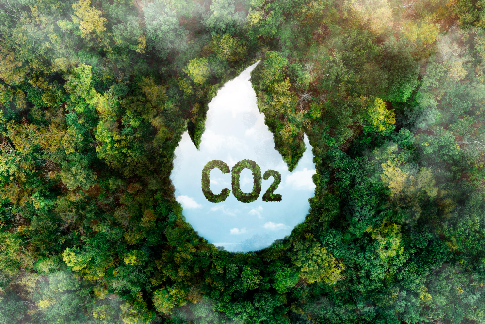 Şehirler harekete geçti fosil yakıt devri kapanıyor