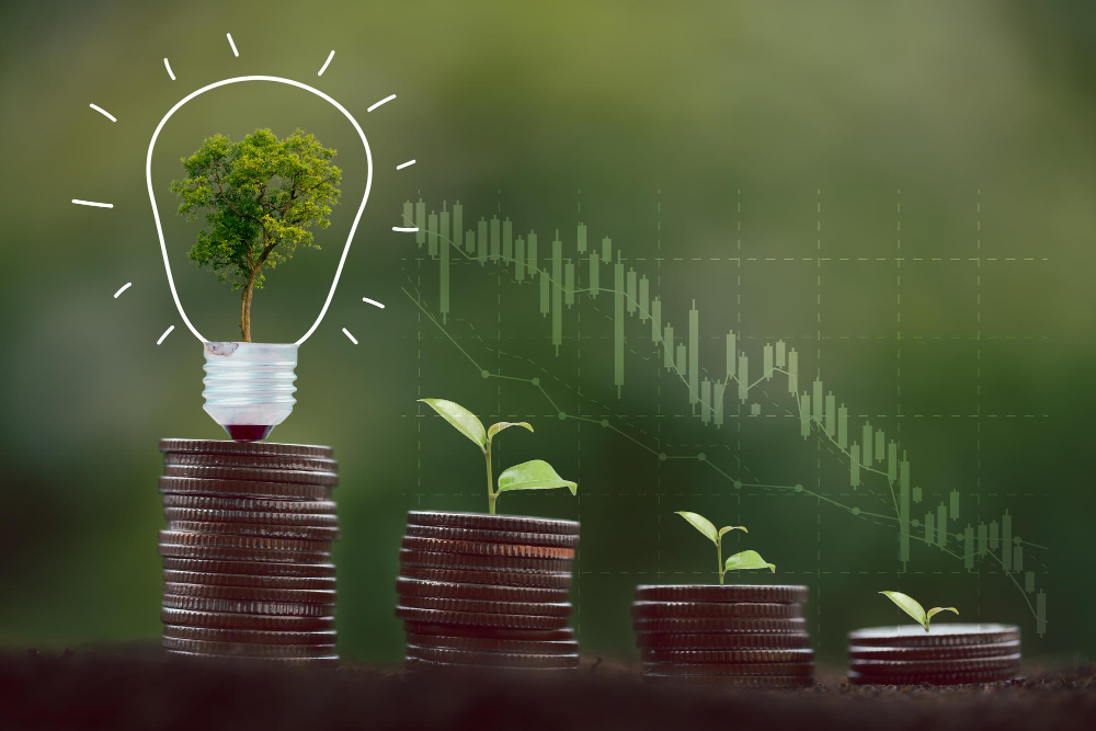 Enerji piyasası büyüdü yeni dönem cebi nasıl etkileyecek