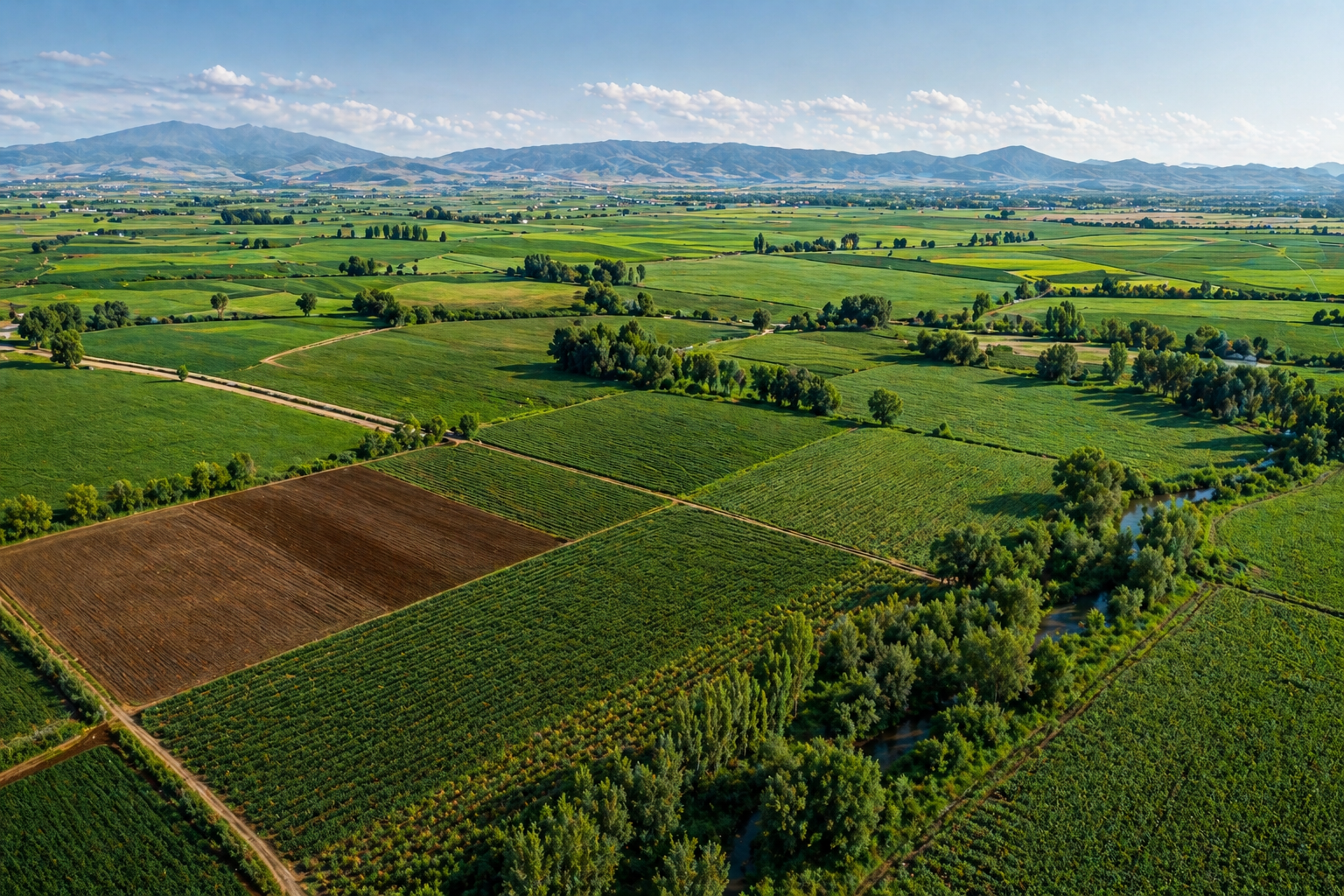 Tarımda dev adım! 422 bin hektar ova korunacak