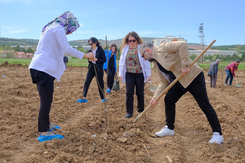 Sivas’ta şehitlerin adı fidanlarda yaşatılacak