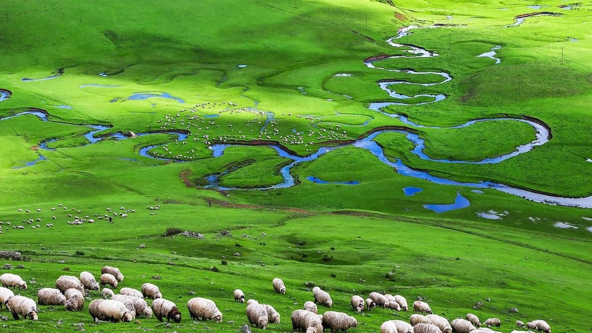 Ordu Perşembe Yaylası’nda maden faaliyetlerine tepki büyüyor
